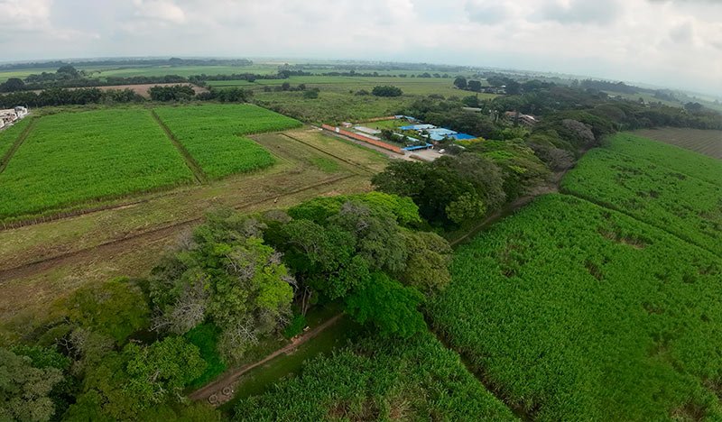 Zona verde del proyecto