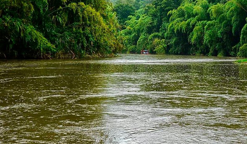 Río La Vieja